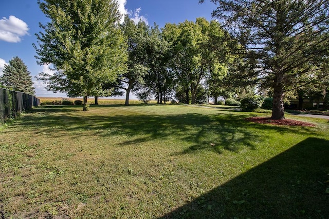 20206 Monks Ave, Mankato, MN 56001 - view of yard