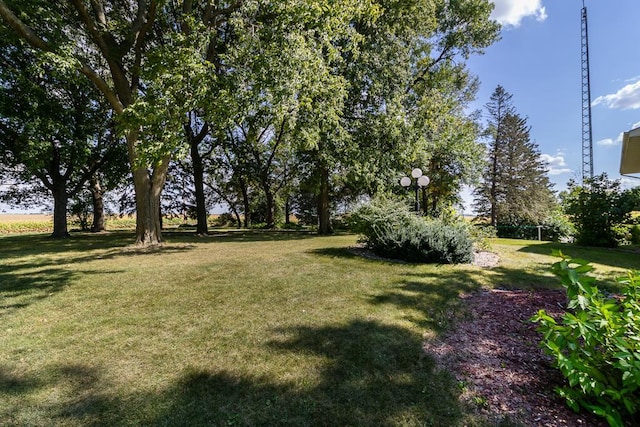 20206 Monks Ave, Mankato, MN 56001 - view of green lawn