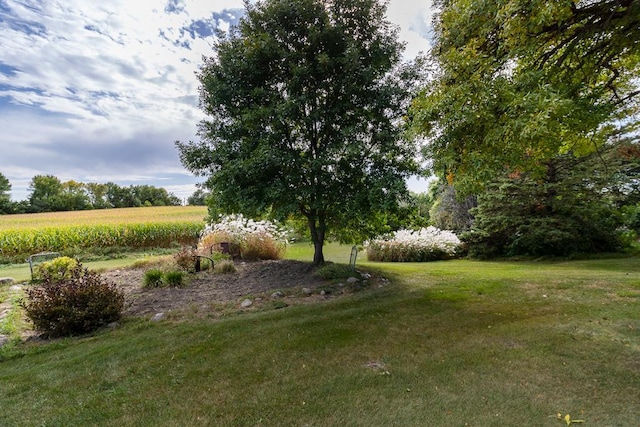 20206 Monks Ave, Mankato, MN 56001 - view of green lawn