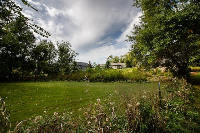 20206 Monks Ave, Mankato, MN 56001 - view of grassy yard