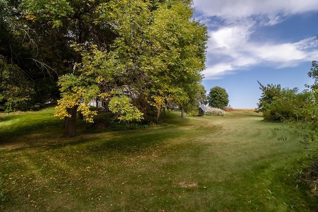 20206 Monks Ave, Mankato, MN 56001 - view of green lawn