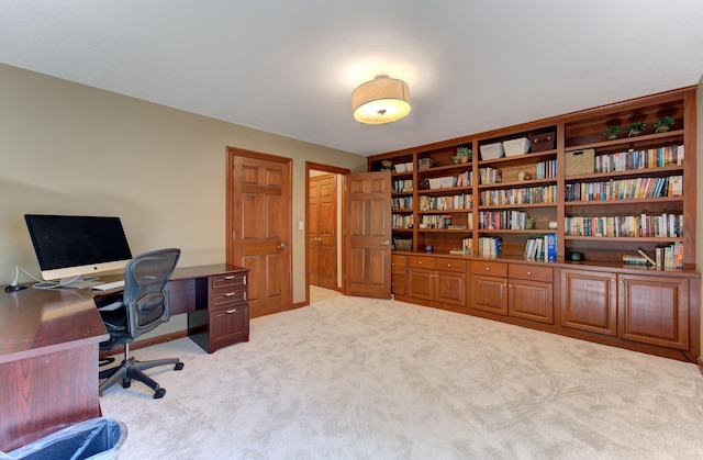 1804 Northern Viola Ln NE, Rochester, MN 55906 - photo 32