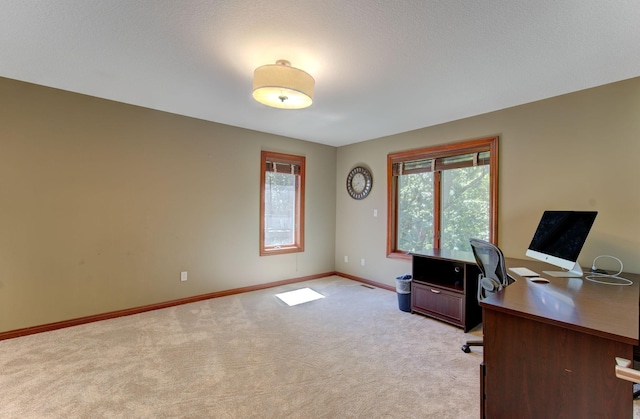 1804 Northern Viola Ln NE, Rochester, MN 55906 - photo 33