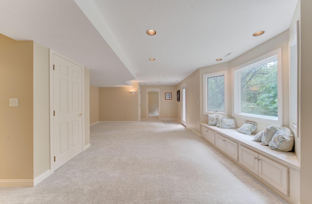 1804 Northern Viola Ln NE, Rochester, MN 55906 - photo 50