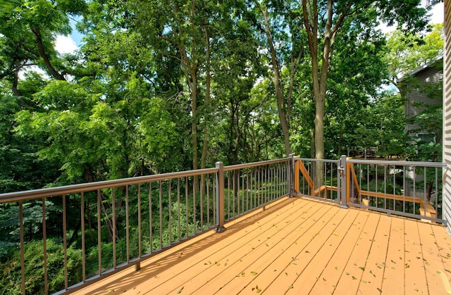 1804 Northern Viola Ln NE, Rochester, MN 55906 - photo 58