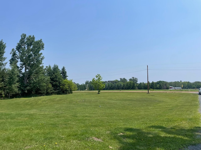 26780 Packard St NE, Athens Twp, MN 55040 - view of grassy yard with view of scattered trees