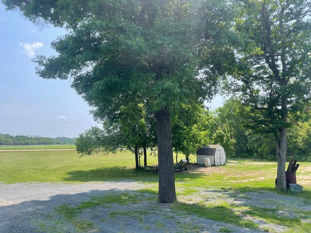 26780 Packard St NE, Athens Twp, MN 55040 - view of grassy yard with a shed