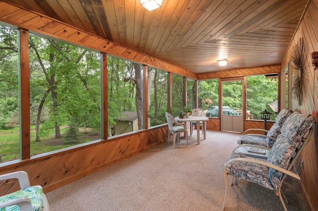 9855 Kadler Ave NE, Otsego, MN 55362 - view of sunroom / solarium