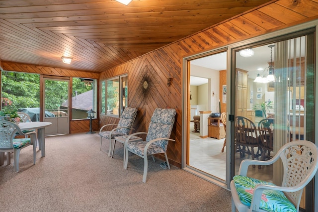 9855 Kadler Ave NE, Otsego, MN 55362 - view of sunroom
