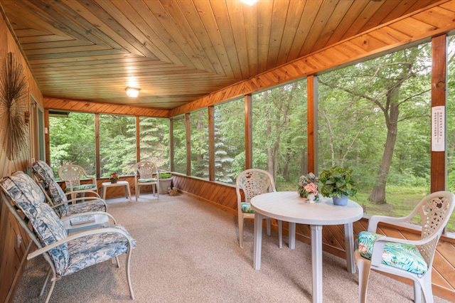 9855 Kadler Ave NE, Otsego, MN 55362 - view of sunroom / solarium