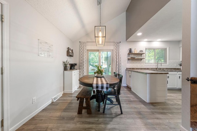 2585 3rd Ave NE, Owatonna, MN 55060 - dining area featuring lofted ceiling, plenty of natural light, and wood finished floors