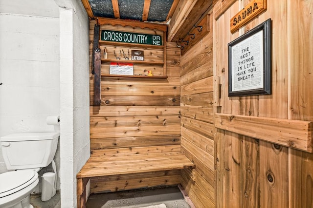 28 16th St, Cloquet, MN 55720 - bathroom with wood walls and concrete flooring