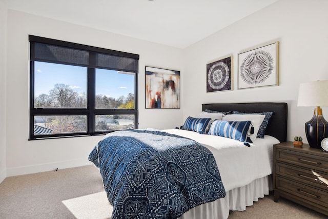 222 Ferndale Rd S, Wayzata, MN 55391 - bedroom with carpet