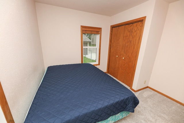 17 Lake St, Osakis, MN 56360 - bedroom with carpet floors and a closet
