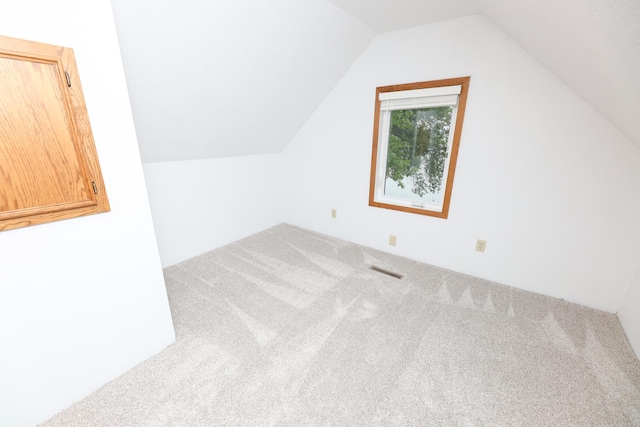 17 Lake St, Osakis, MN 56360 - bonus room with carpet flooring and vaulted ceiling