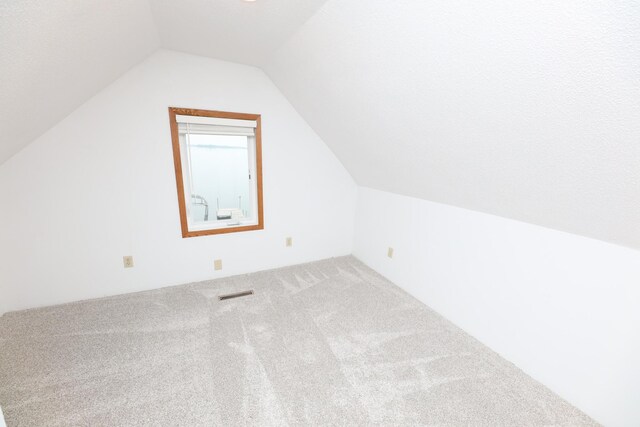 17 Lake St, Osakis, MN 56360 - additional living space with carpet and lofted ceiling
