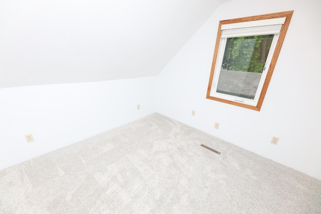 17 Lake St, Osakis, MN 56360 - additional living space with carpet floors and vaulted ceiling