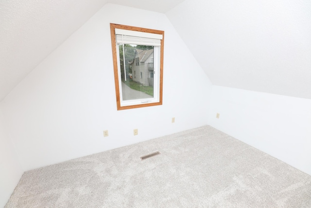 17 Lake St, Osakis, MN 56360 - bonus room with carpet flooring and vaulted ceiling