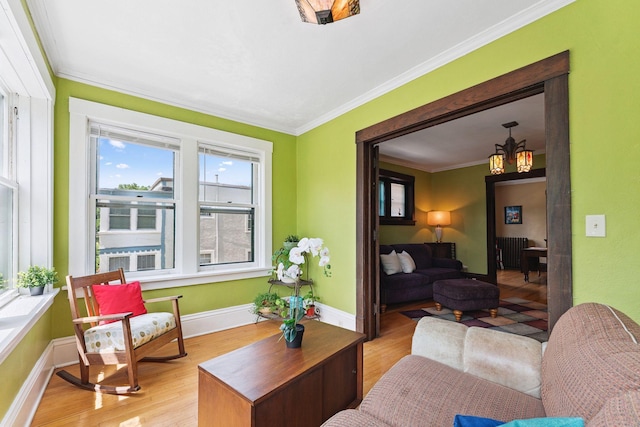 1725 Hague Ave Unit 4, Saint Paul, MN 55104 - living area with plenty of natural light, ornamental molding, light wood finished floors, and radiator