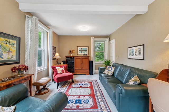 2145 Knapp St, Saint Paul, MN 55108 - living area with beamed ceiling