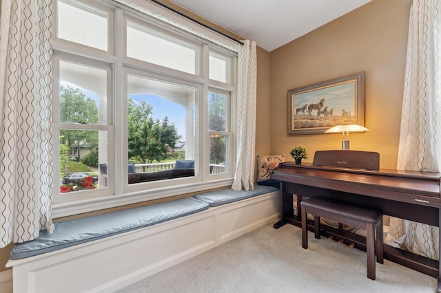 2145 Knapp St, Saint Paul, MN 55108 - living area with light colored carpet