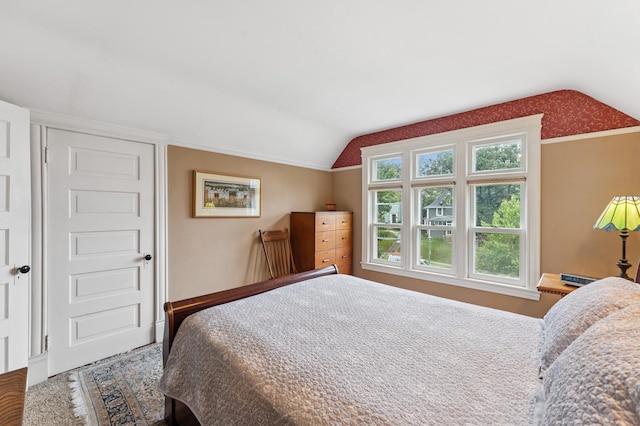 2145 Knapp St, Saint Paul, MN 55108 - bedroom featuring vaulted ceiling