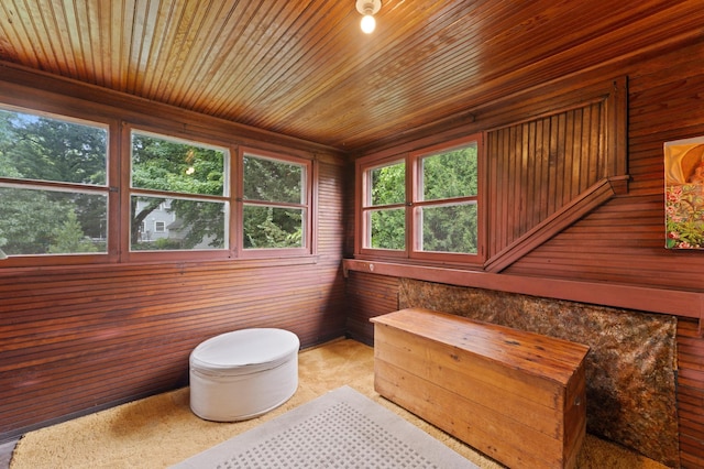 2145 Knapp St, Saint Paul, MN 55108 - living area featuring wood walls and wooden ceiling