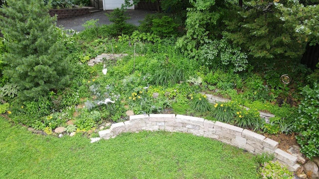 2145 Knapp St, Saint Paul, MN 55108 - view of green lawn