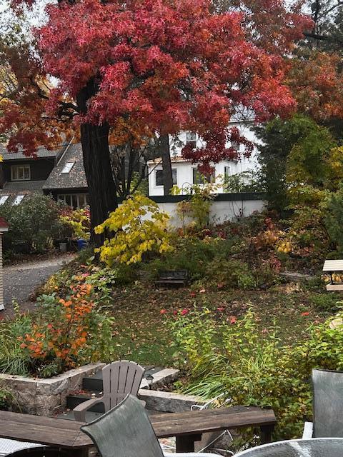 2145 Knapp St, Saint Paul, MN 55108 - view of yard