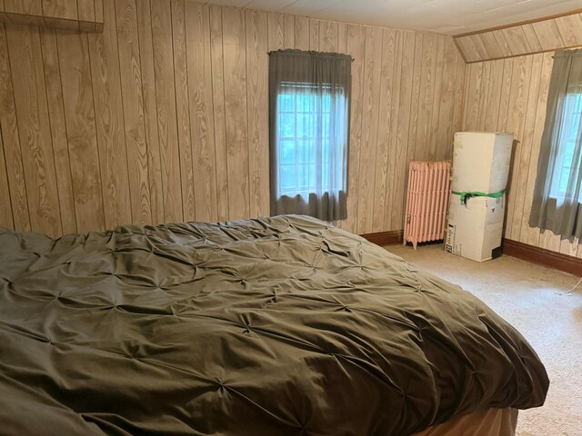 8113 158th St, Ellendale, MN 56026 - photo 17