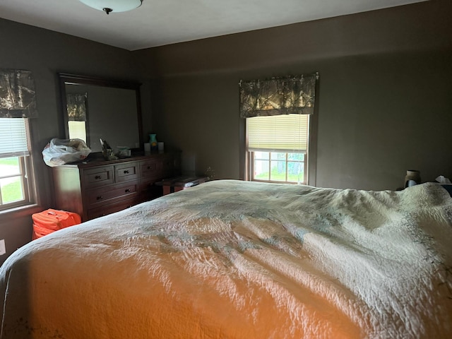 8113 158th St, Ellendale, MN 56026 - photo 19