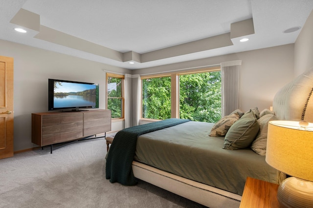 3933 Donegal Way, Eagan, MN 55122 - bedroom with light colored carpet, a raised ceiling, and recessed lighting