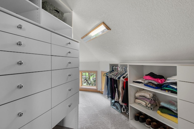 3933 Donegal Way, Eagan, MN 55122 - walk in closet with carpet