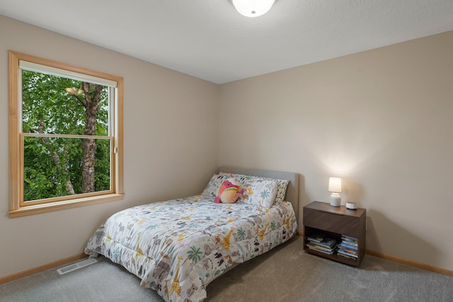 3933 Donegal Way, Eagan, MN 55122 - carpeted bedroom with baseboards