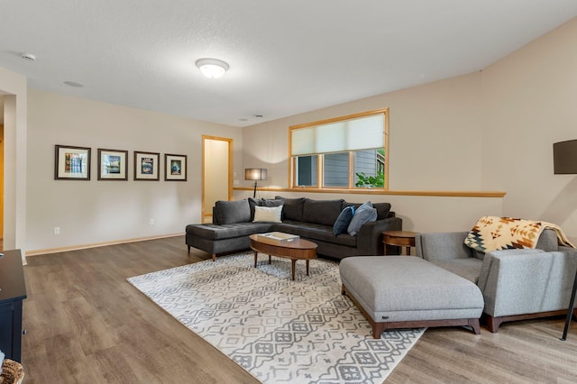 3933 Donegal Way, Eagan, MN 55122 - living room featuring wood finished floors and baseboards