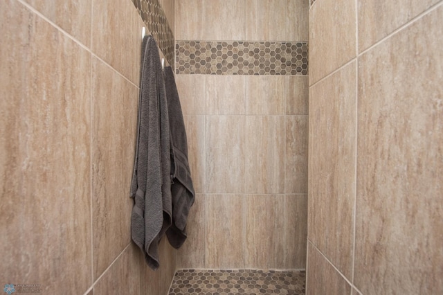 633 Leonards Way, Argusville, ND 58005 - bathroom with a tile shower