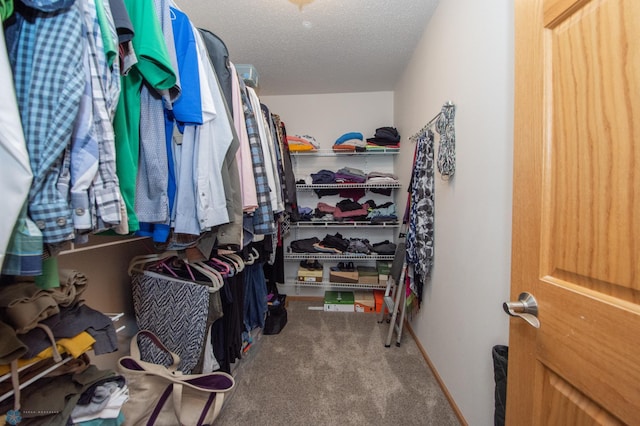 633 Leonards Way, Argusville, ND 58005 - walk in closet featuring carpet flooring