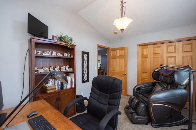 633 Leonards Way, Argusville, ND 58005 - carpeted home office with vaulted ceiling