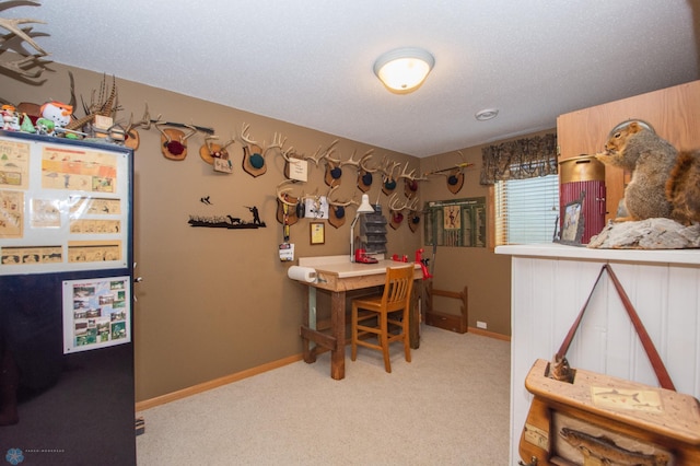 633 Leonards Way, Argusville, ND 58005 - home office with carpet and baseboards