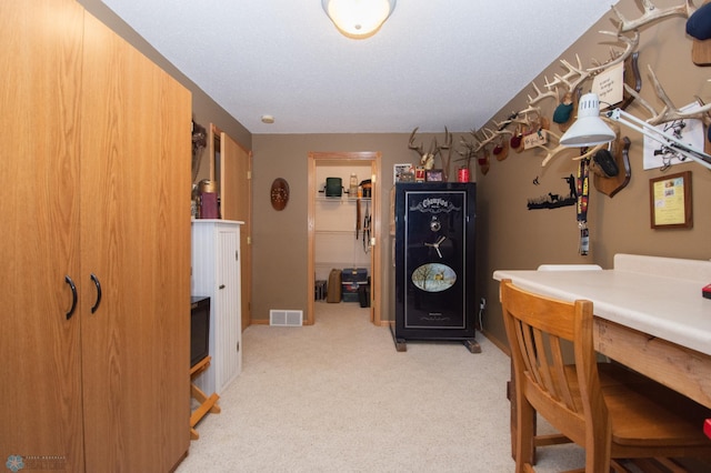 633 Leonards Way, Argusville, ND 58005 - view of carpeted office