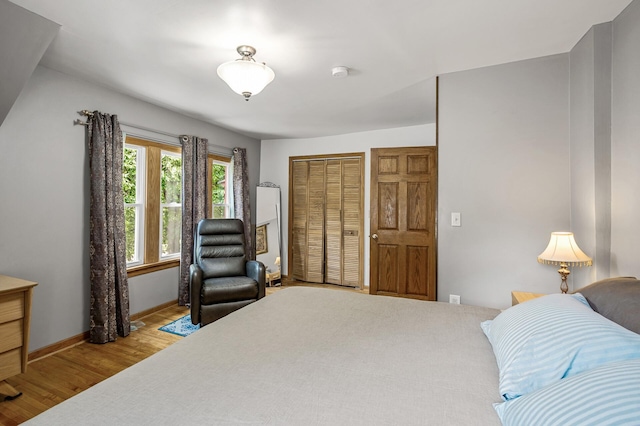 3231 41st Ave S, Minneapolis, MN 55406 - bedroom featuring wood finished floors and a closet