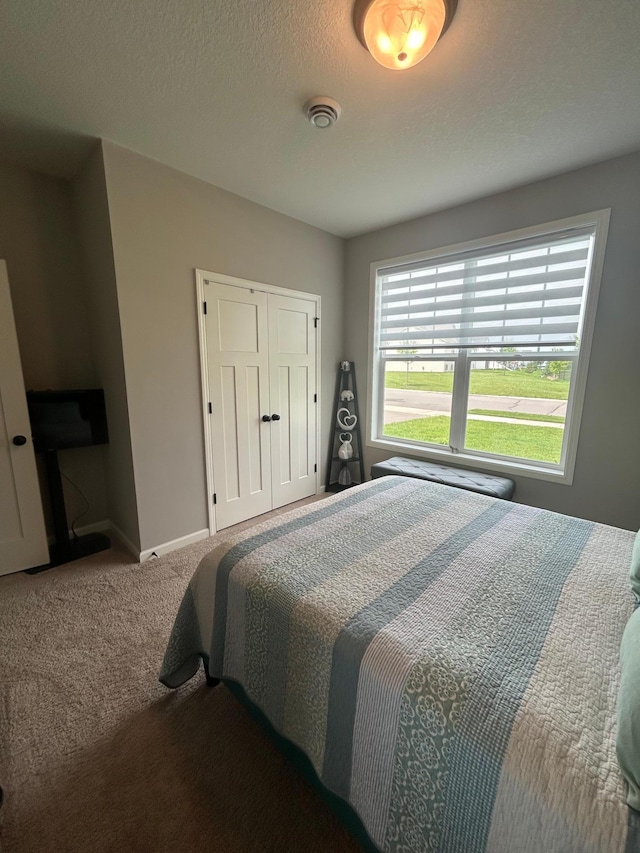 8756 151st Ave NW, Ramsey, MN 55303 - bedroom with carpet, a closet, and a textured ceiling