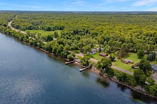 12833 Twilight Rd, South Harbor Twp, MN 56359 - aerial view of a forest and a nearby body of water