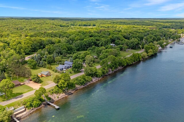 12833 Twilight Rd, South Harbor Twp, MN 56359 - drone / aerial view of a forest and a nearby body of water