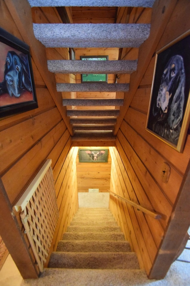 28716 Kilkare Rd, Danbury, WI 54830 - staircase featuring wooden walls and a relaxing sauna