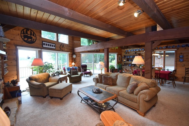 28716 Kilkare Rd, Danbury, WI 54830 - carpeted living room with wood walls and a wood ceiling with exposed beams