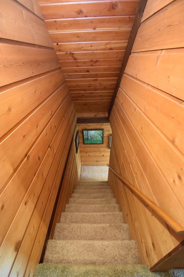 28716 Kilkare Rd, Danbury, WI 54830 - stairs featuring a sauna, wood walls, wood ceiling, carpet floors, and lofted ceiling