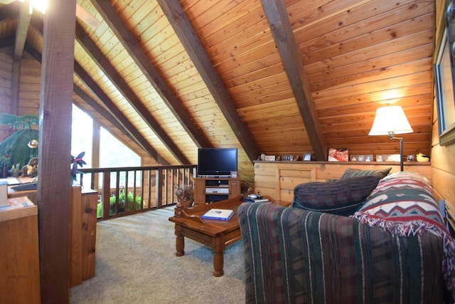 28716 Kilkare Rd, Danbury, WI 54830 - carpeted living room featuring wood ceiling and wood walls