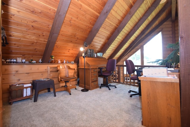 28716 Kilkare Rd, Danbury, WI 54830 - carpeted home office featuring wooden ceiling