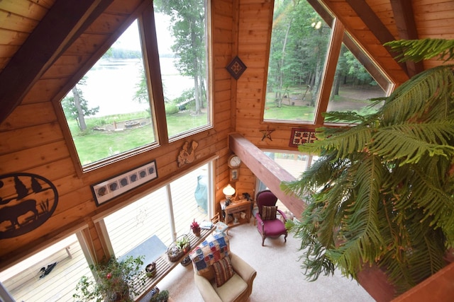 28716 Kilkare Rd, Danbury, WI 54830 - carpeted living room with wooden walls and wood ceiling